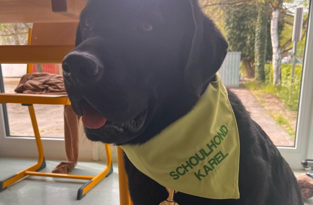 Éischte Schoulhond fir d’Veiner Schull