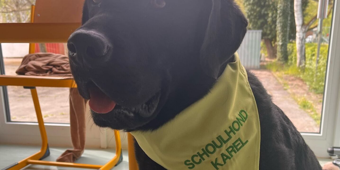 PHOTO-2025-04-27-21-44-38-1