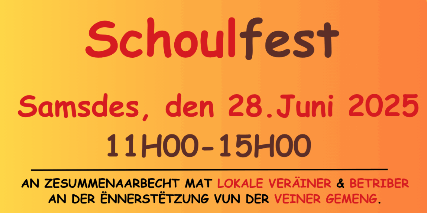 Flyer Schullfest